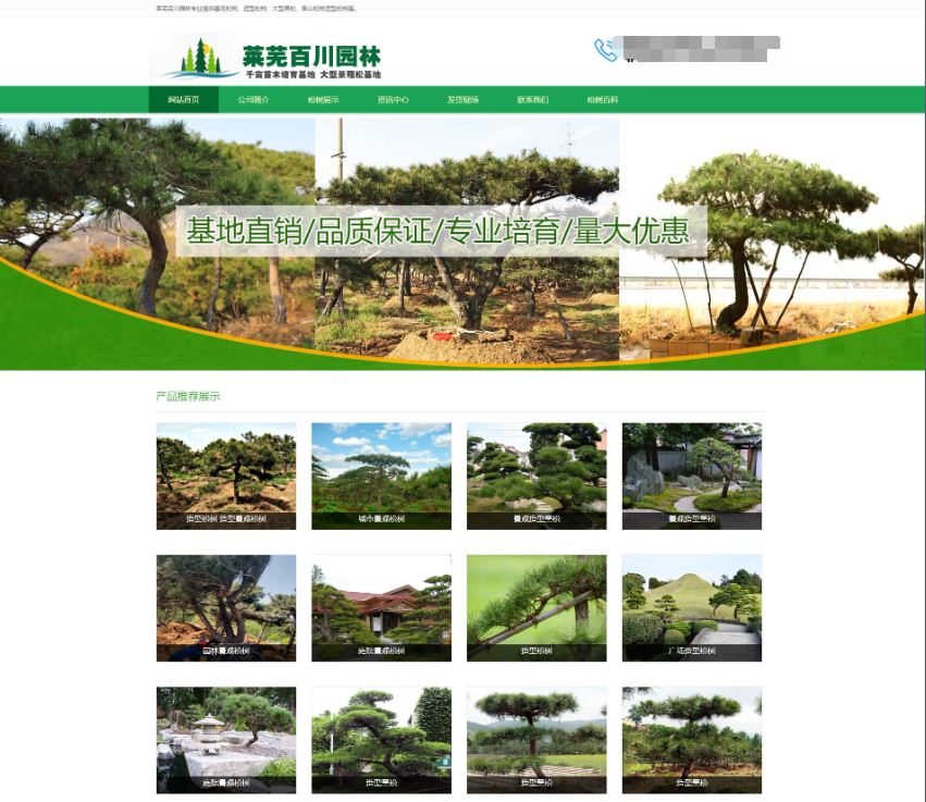 莱芜景观松树网站优化